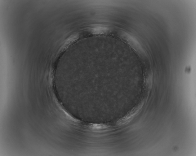 X0000097620277200802291333