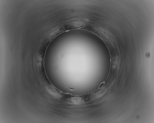 X0000097620279200802291333