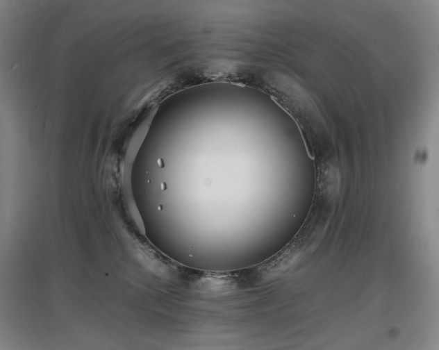 X0000097620280200802291333