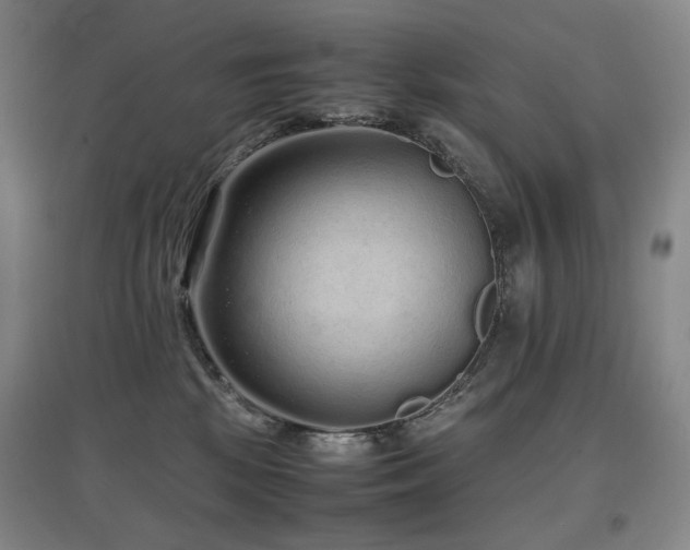 X0000097620281200802291333