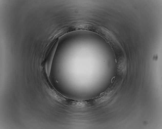 X0000097620282200802291333