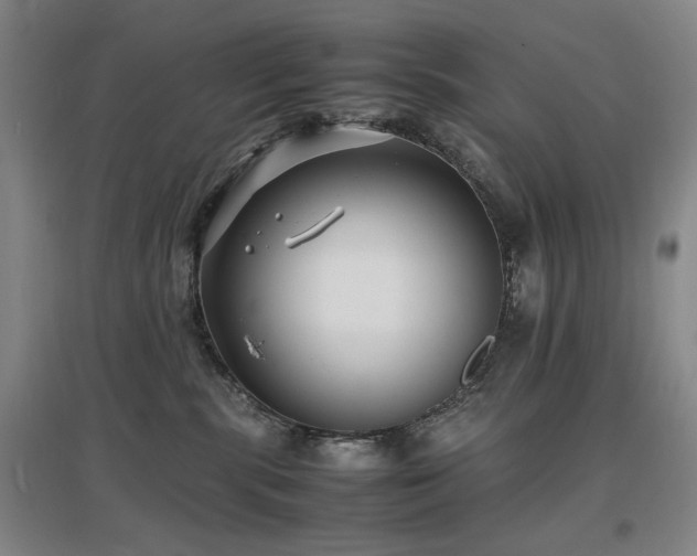 X0000097620283200802291333