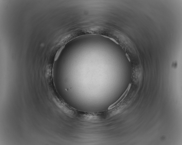 X0000097620284200802291333