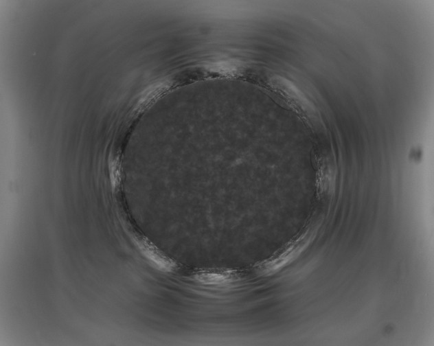 X0000097620285200802291333