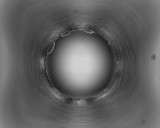 X0000097620286200802291333