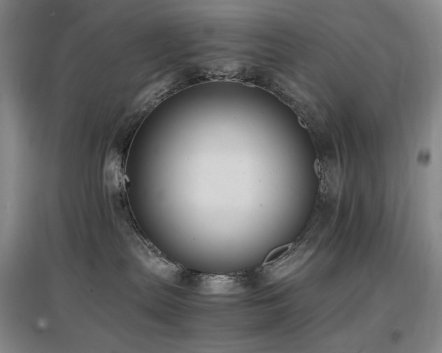 X0000097620287200802291333