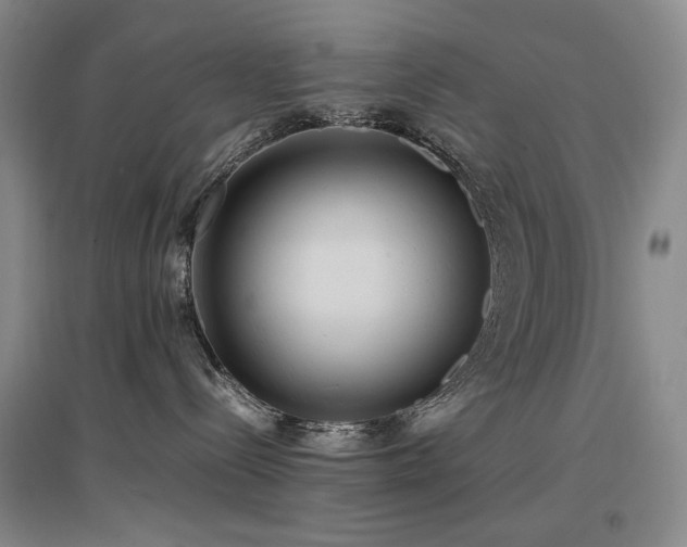 X0000097620288200802291333