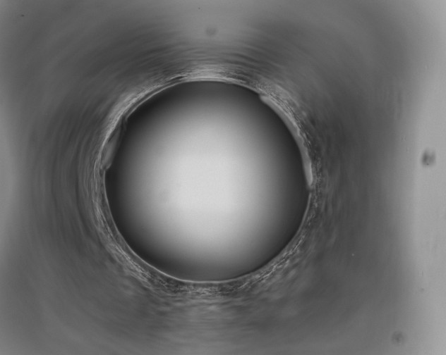 X0000097620289200802291332