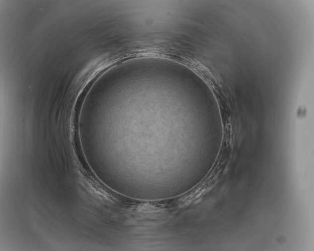 X0000097620290200802291332