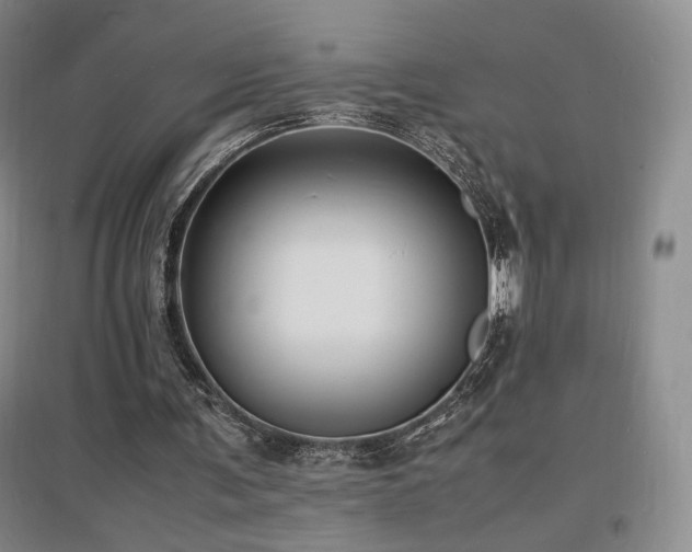 X0000097620291200802291332