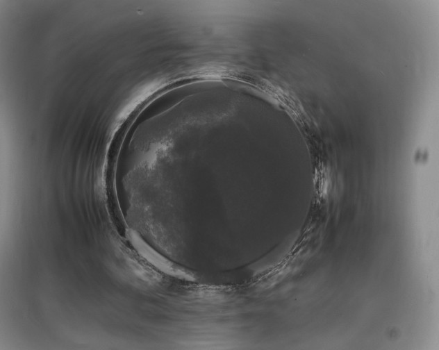 X0000097620292200802291332