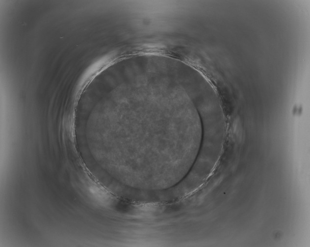 X0000097620293200802291332