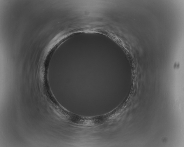 X0000097620295200802291332