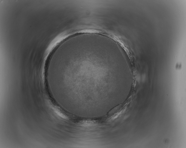 X0000097620296200802291332