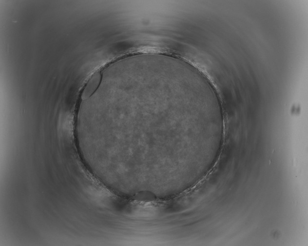 X0000097620297200802291332