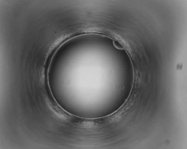 X0000097620298200802291332