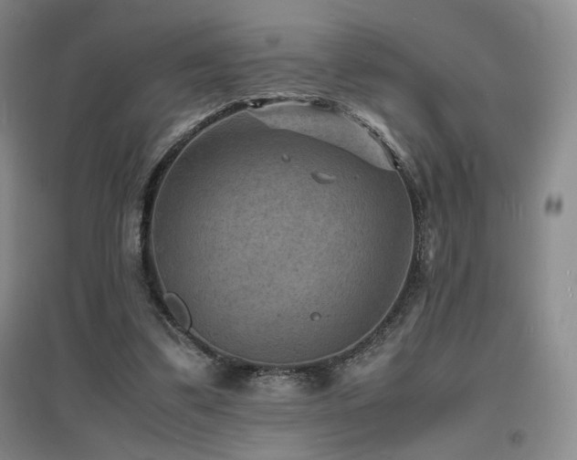 X0000097620299200802291332
