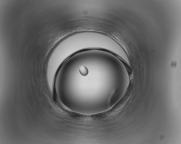 X0000097620301200802291332