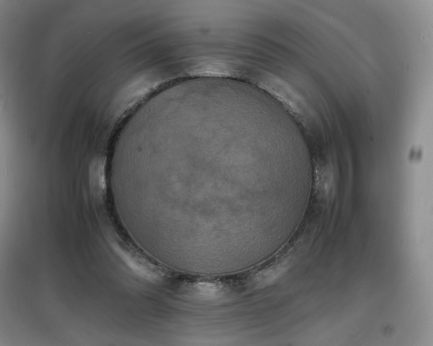 X0000097620302200802291332