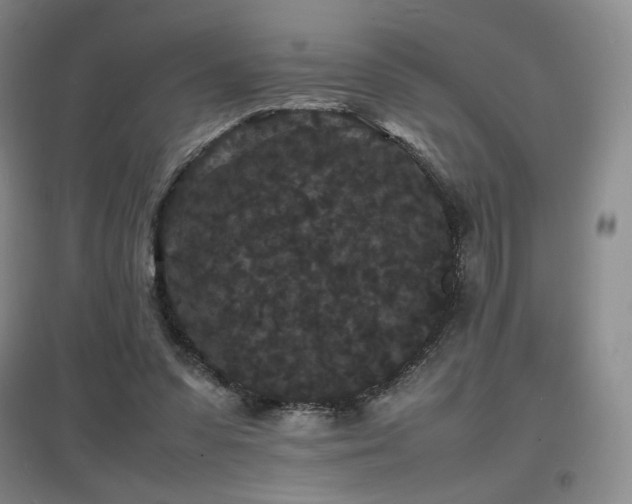 X0000097620303200802291332