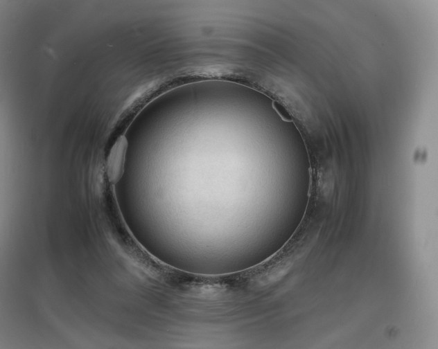 X0000097620304200802291332