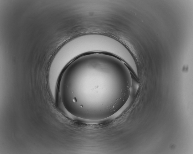 X0000097620305200802291332