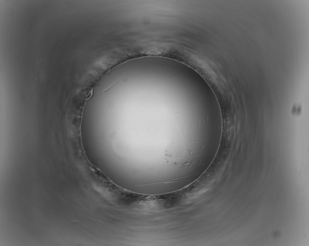 X0000097620307200802291332
