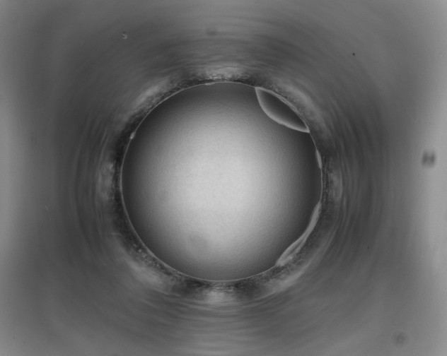 X0000097620308200802291332