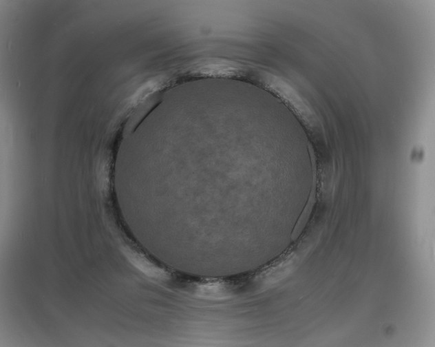 X0000097620309200802291332