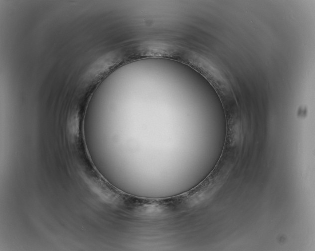 X0000097620310200802291332