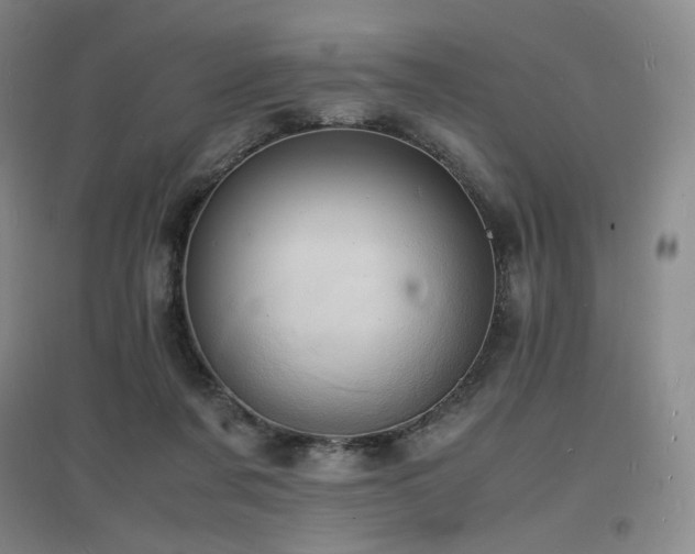 X0000097620311200802291332