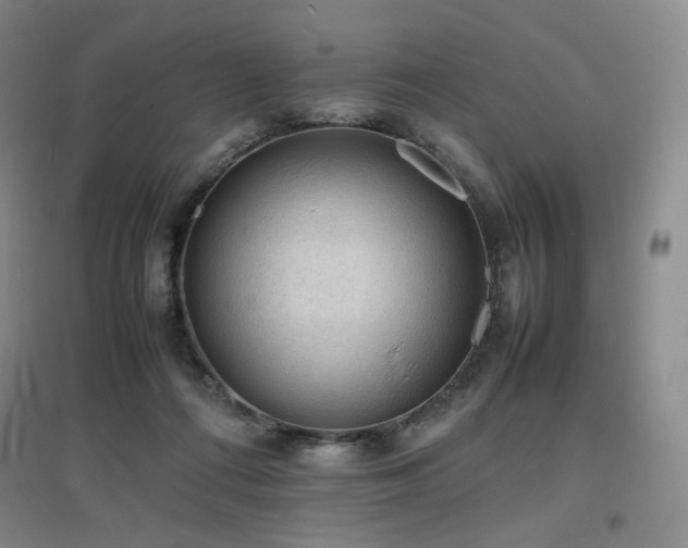 X0000097620312200802291332