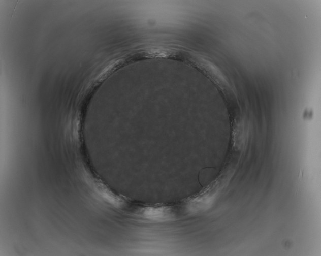 X0000097620314200802291332
