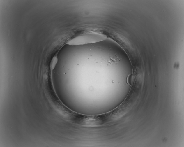 X0000097620315200802291332