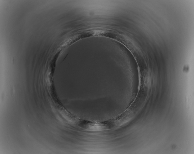 X0000097620316200802291332