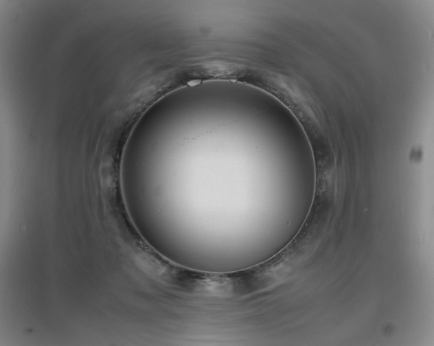 X0000097620317200802291332