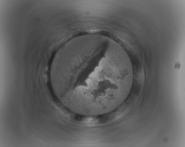 X0000097620319200802291332