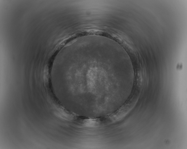 X0000097620320200802291332