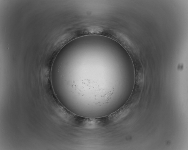 X0000097620321200802291332