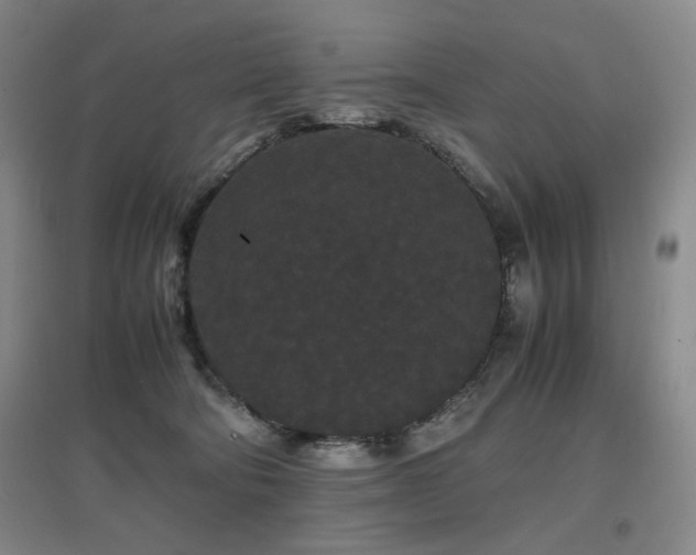 X0000097620322200802291332