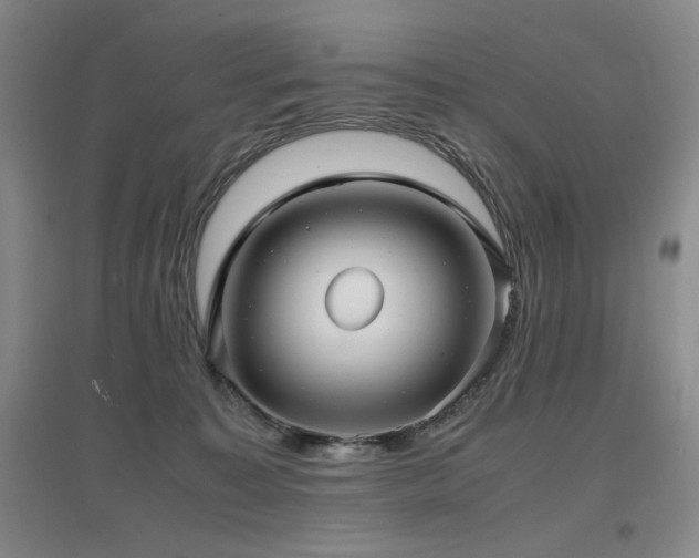 X0000097620323200802291332