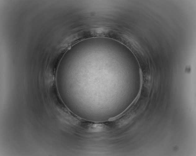 X0000097620324200802291332