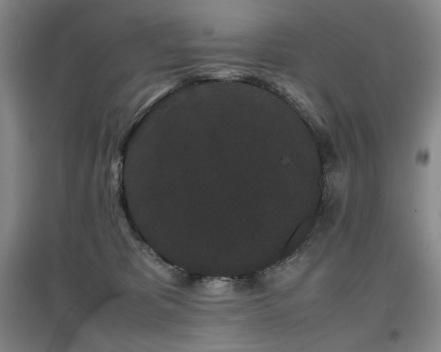 X0000097620325200802291332