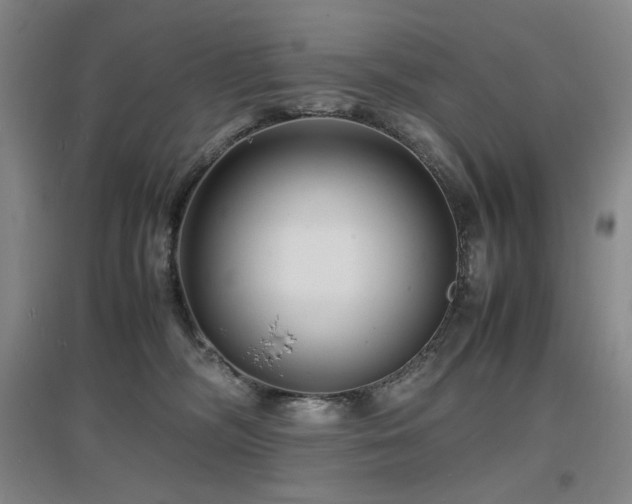 X0000097620326200802291332
