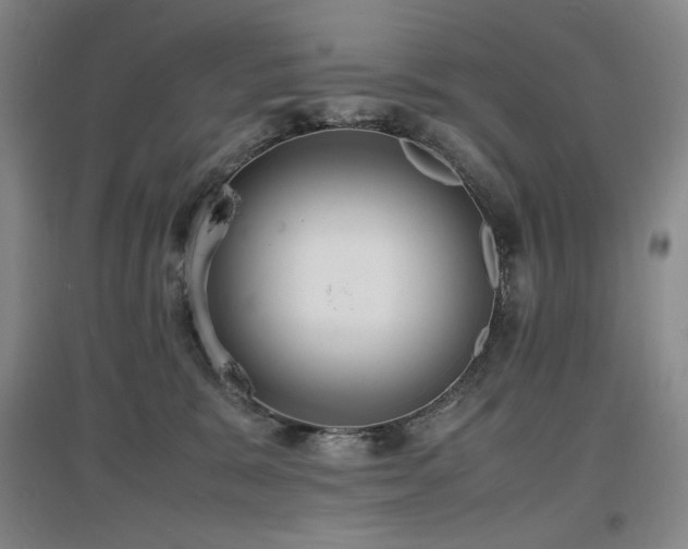 X0000097620327200802291332