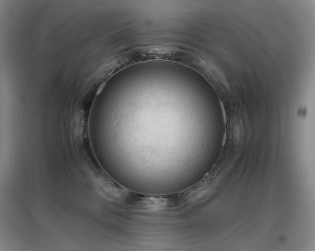 X0000097620328200802291332