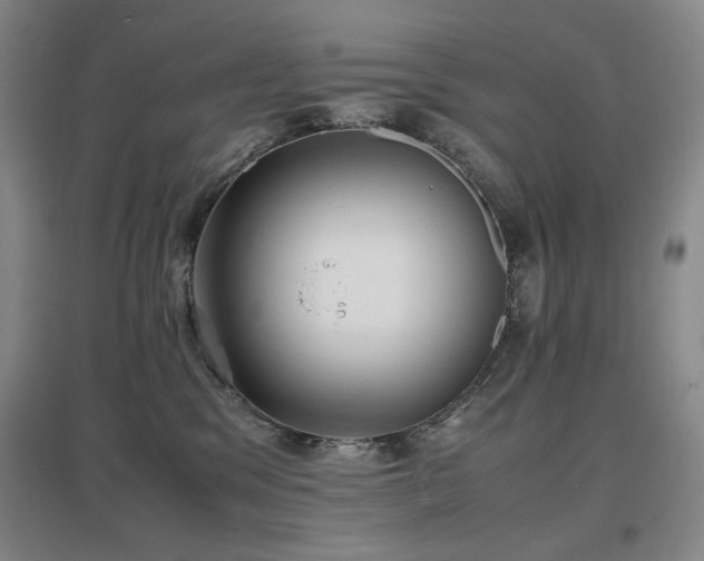 X0000097620329200802291332