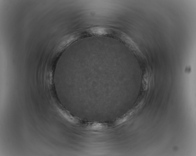 X0000097620330200802291332