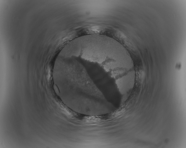 X0000097620331200802291332