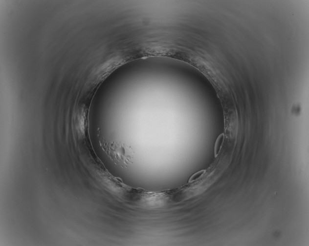 X0000097620334200802291332